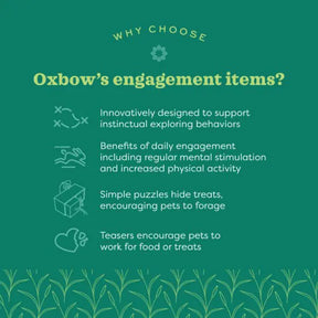 Oxbow - Enriched Life Small Animal Pyramid Treat Hanger by Oxbow