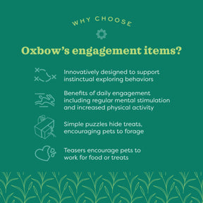Oxbow - Enriched Life Garden Dig Box Small Animal Chews by Oxbow