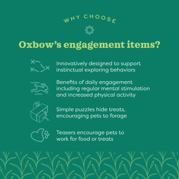 Oxbow - Enriched Life Garden Dig Box Small Animal Chews by Oxbow