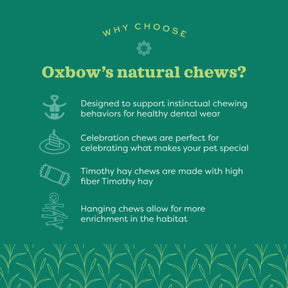 Oxbow - Enriched Life Timothy Flowers Small Animal Chew Toy by Oxbow