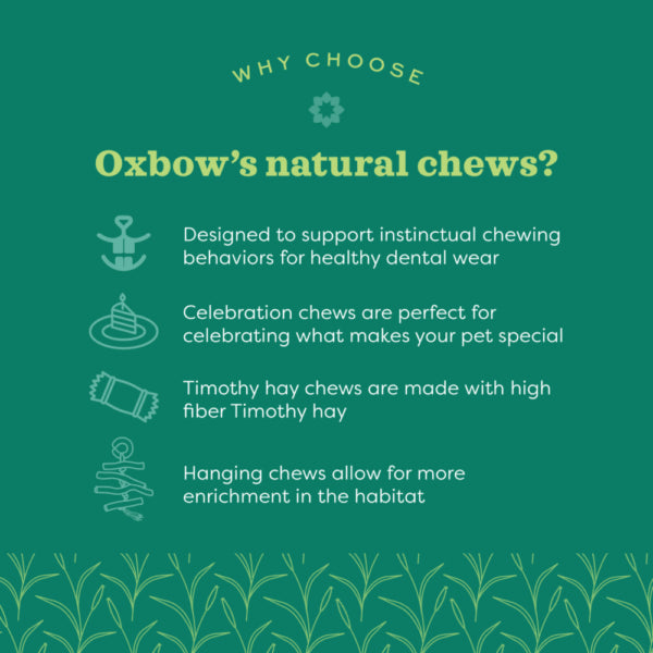 Oxbow - Enriched Life Timothy Flowers Small Animal Chew Toy by Oxbow