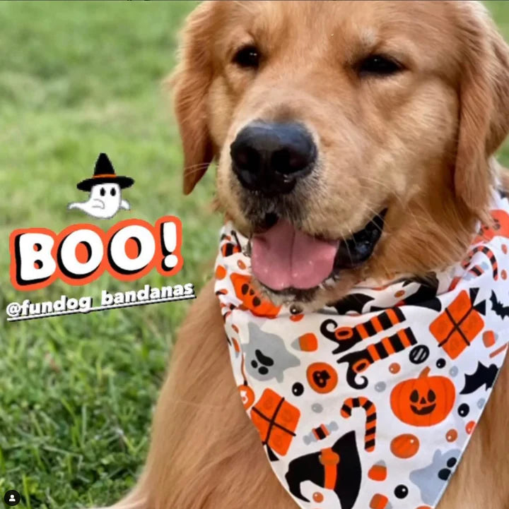 FunDog Bandanas - Dog Bandana Witches & Pumpkins