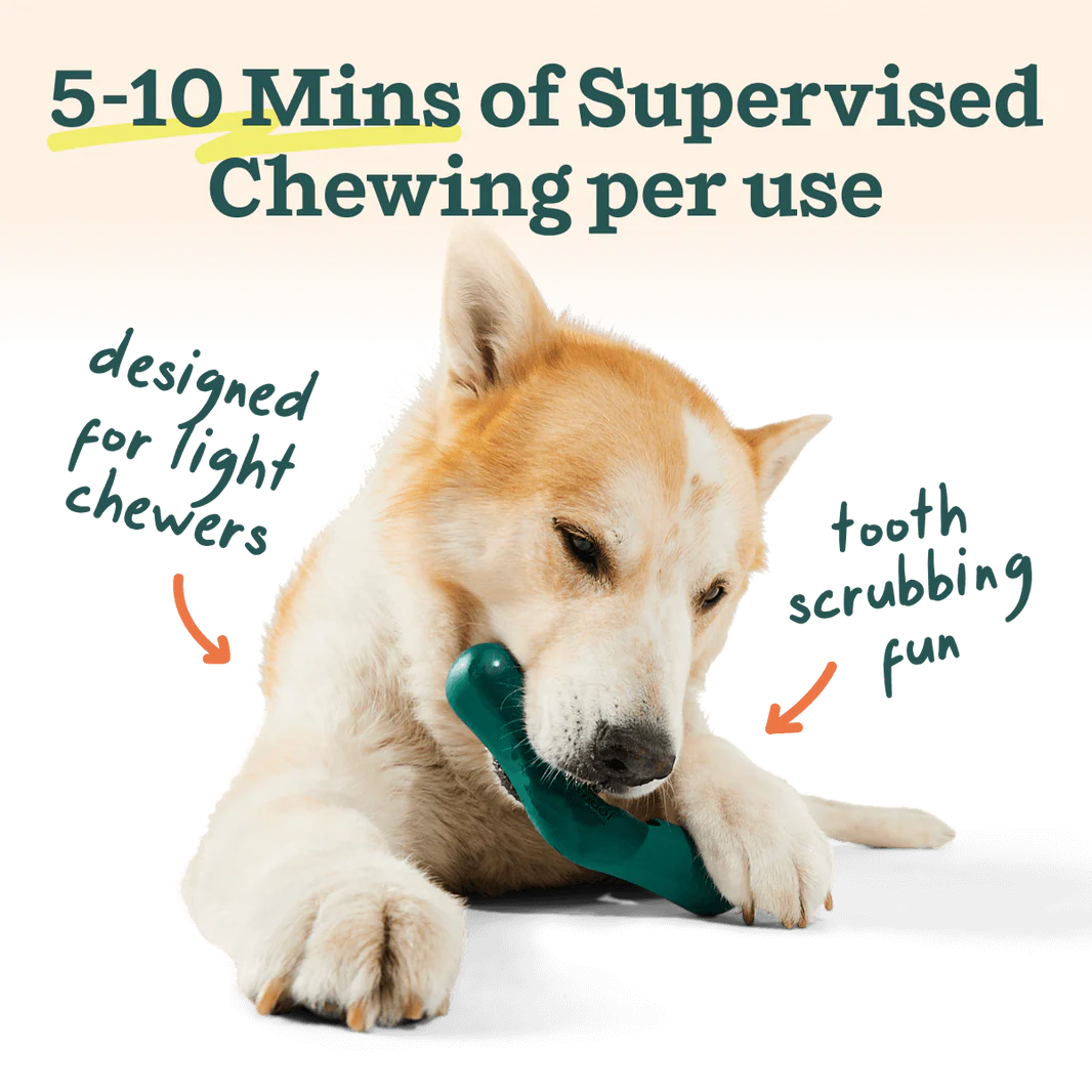 Woof Pet - Bite N' Brush V-Shaped - Southern Agriculture 