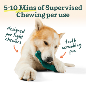Woof Pet - Bite N' Brush V-Shaped - Southern Agriculture 