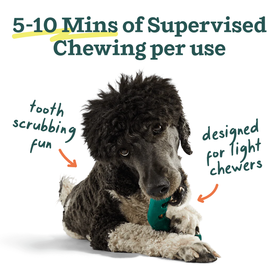 Woof Pet - Bite N' Brush Refills - Southern Agriculture 