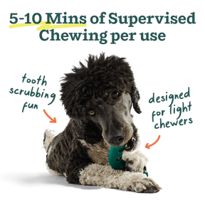 Woof Pet - Bite N' Brush Refills - Southern Agriculture 