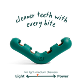 Woof Pet - Bite N' Brush V-Shaped - Southern Agriculture 