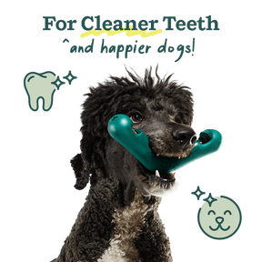 Woof Pet - Bite N' Brush V-Shaped - Southern Agriculture 