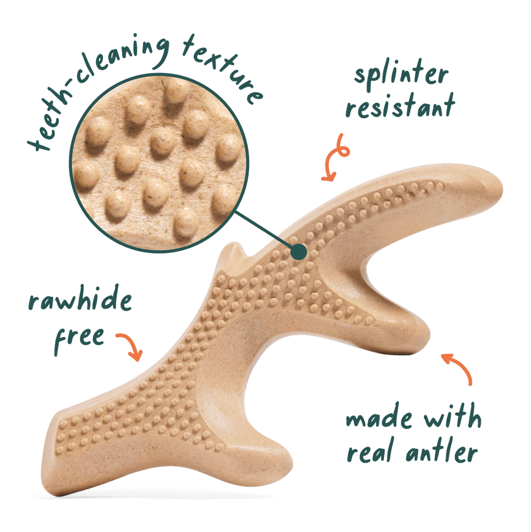 Woof Pet - Honest Chew Infinity Bone - Southern Agriculture 