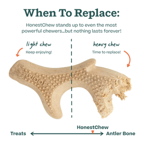 Woof Pet - Honest Chew Infinity Bone - Southern Agriculture 