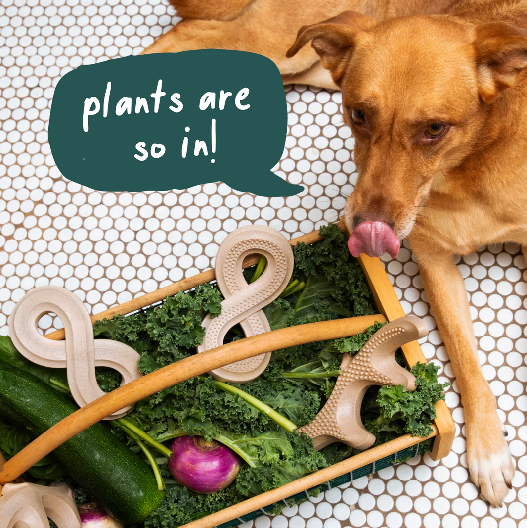 Woof Pet - Honest Chew Infinity Bone - Southern Agriculture 