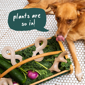 Woof Pet - Honest Chew Infinity Bone - Southern Agriculture 