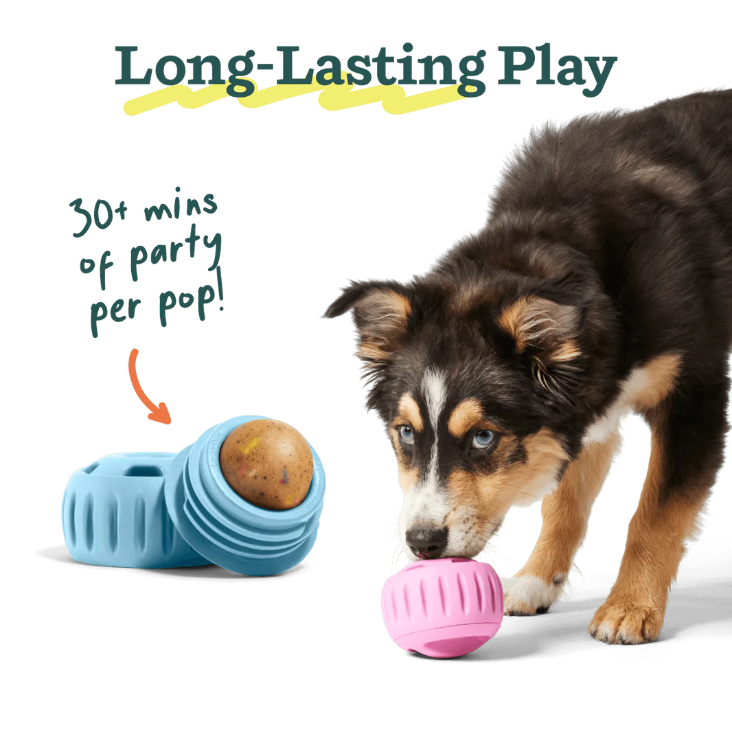 Woof Pet - Pupsicle Refill Pops Birthday - Southern Agriculture 