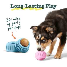 Woof Pet - Pupsicle Refill Pops Birthday - Southern Agriculture 