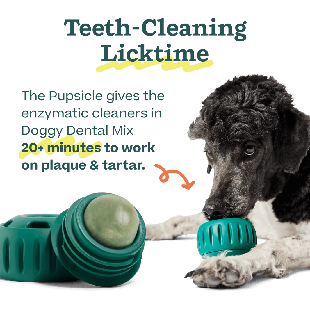 Woof Pet - Pupsicle Treat Mix Doggy Dental - Southern Agriculture 