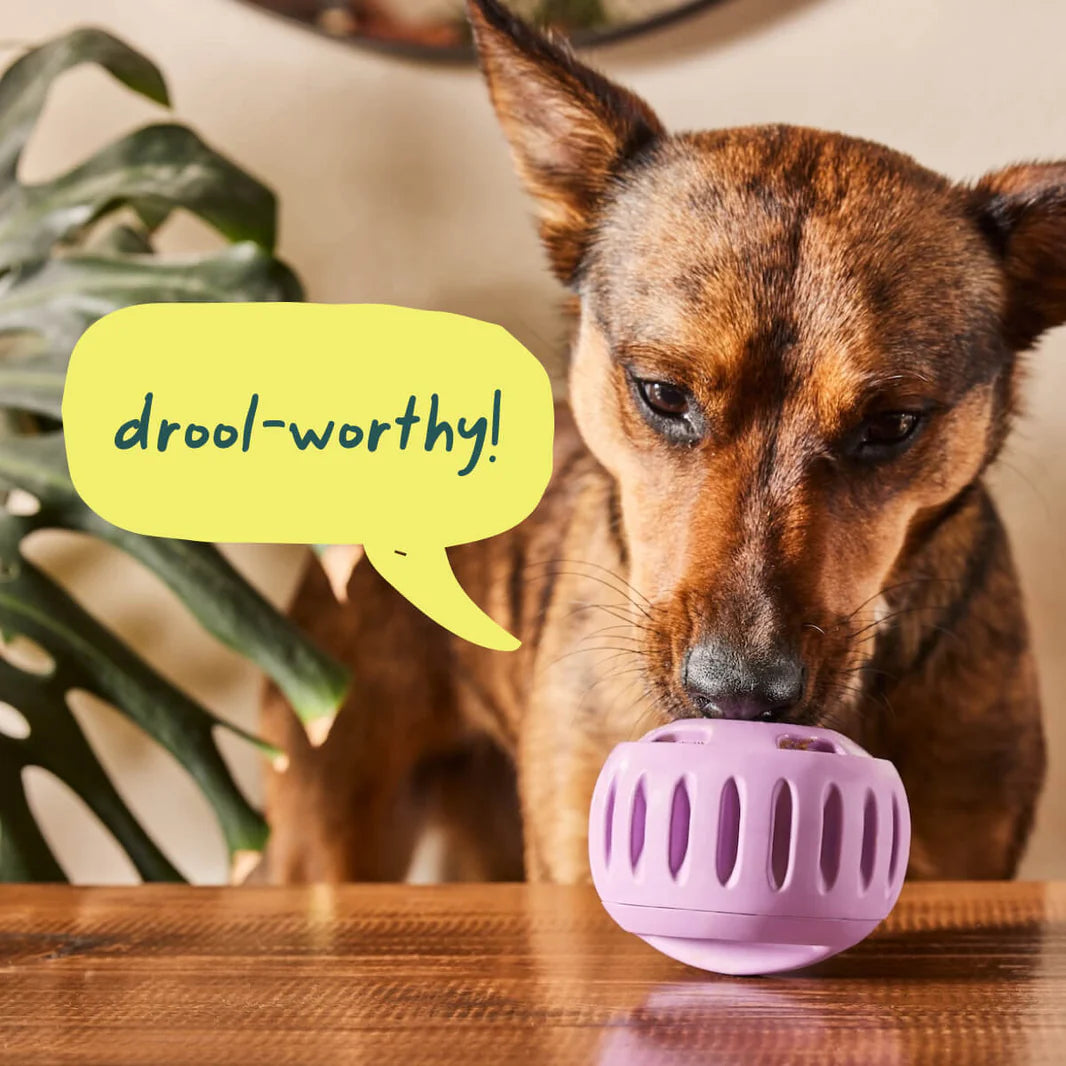 Woof Pet - Pupsicle Toy - Southern Agriculture 