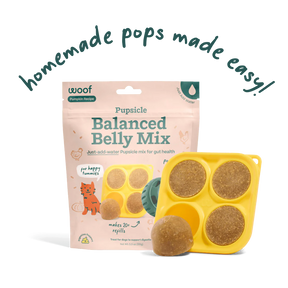Woof Pet - Pupsicle Treat Mix Balanced Belly - Southern Agriculture 