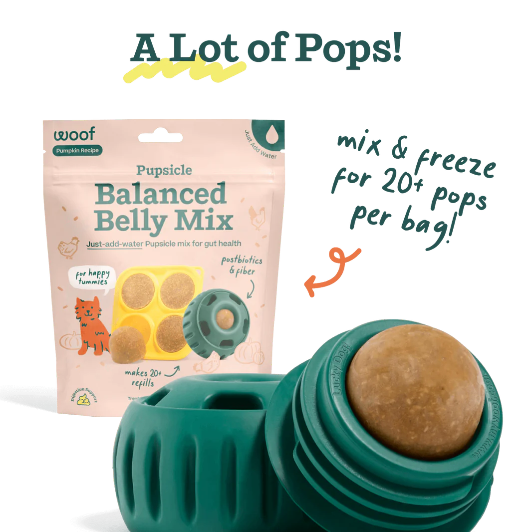 Woof Pet - Pupsicle Treat Mix Balanced Belly - Southern Agriculture 