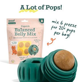 Woof Pet - Pupsicle Treat Mix Balanced Belly - Southern Agriculture 