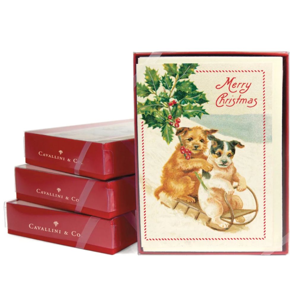 Cavallini Papers & Co - Christmas Boxed Notes