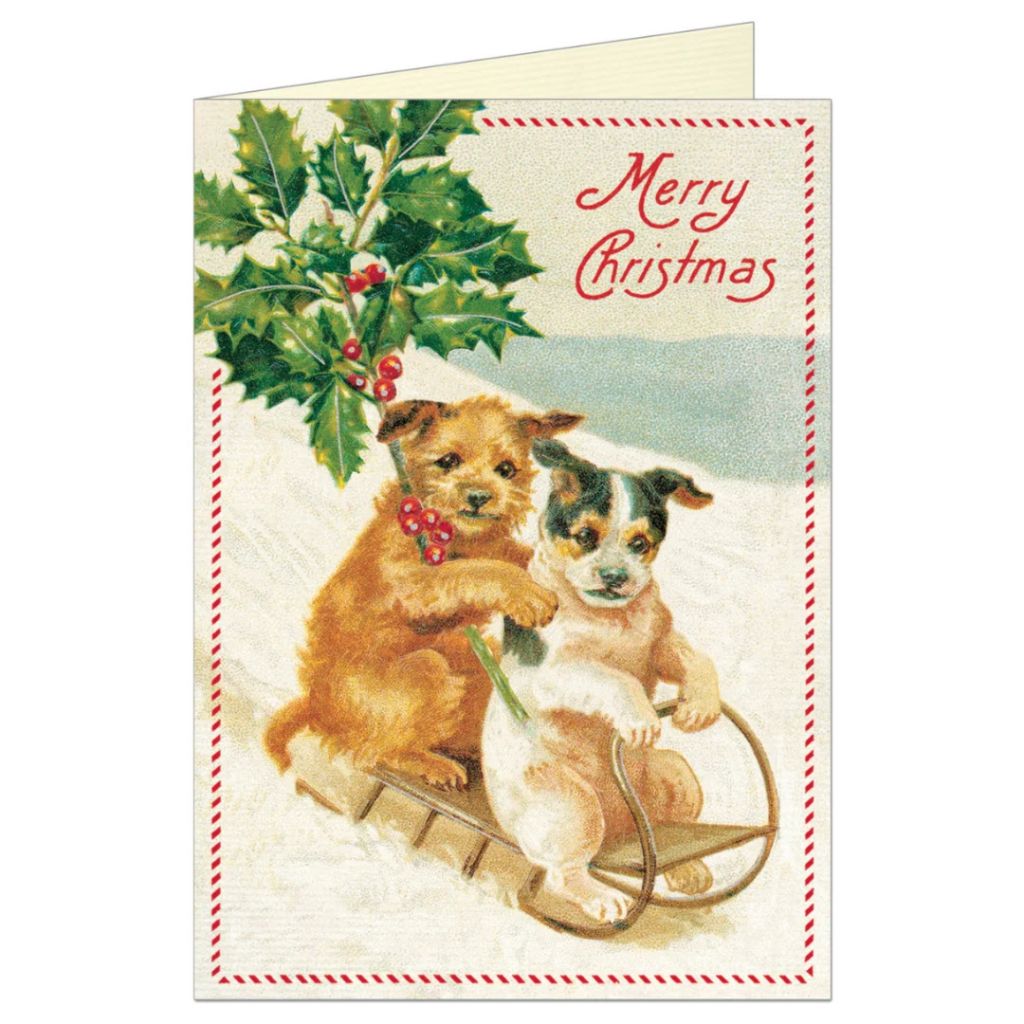 Cavallini Papers & Co - Christmas Boxed Notes