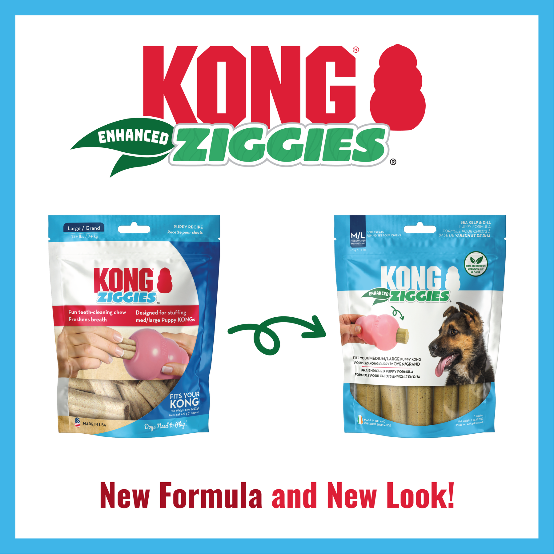KONG - Enhanced Ziggies Puppy
