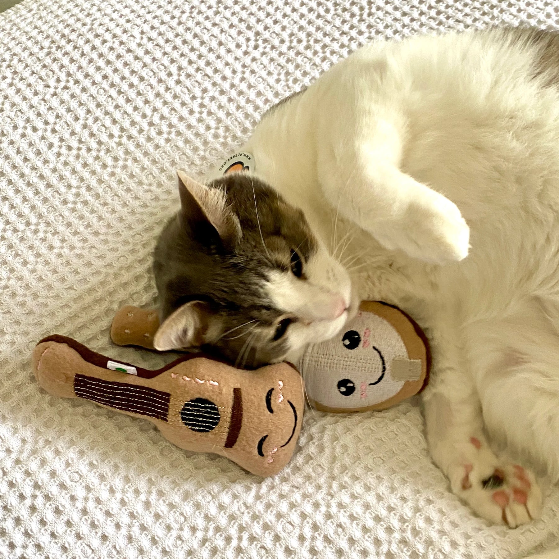 Screaming Pickles - Dog Toy Mini Guitar Plush