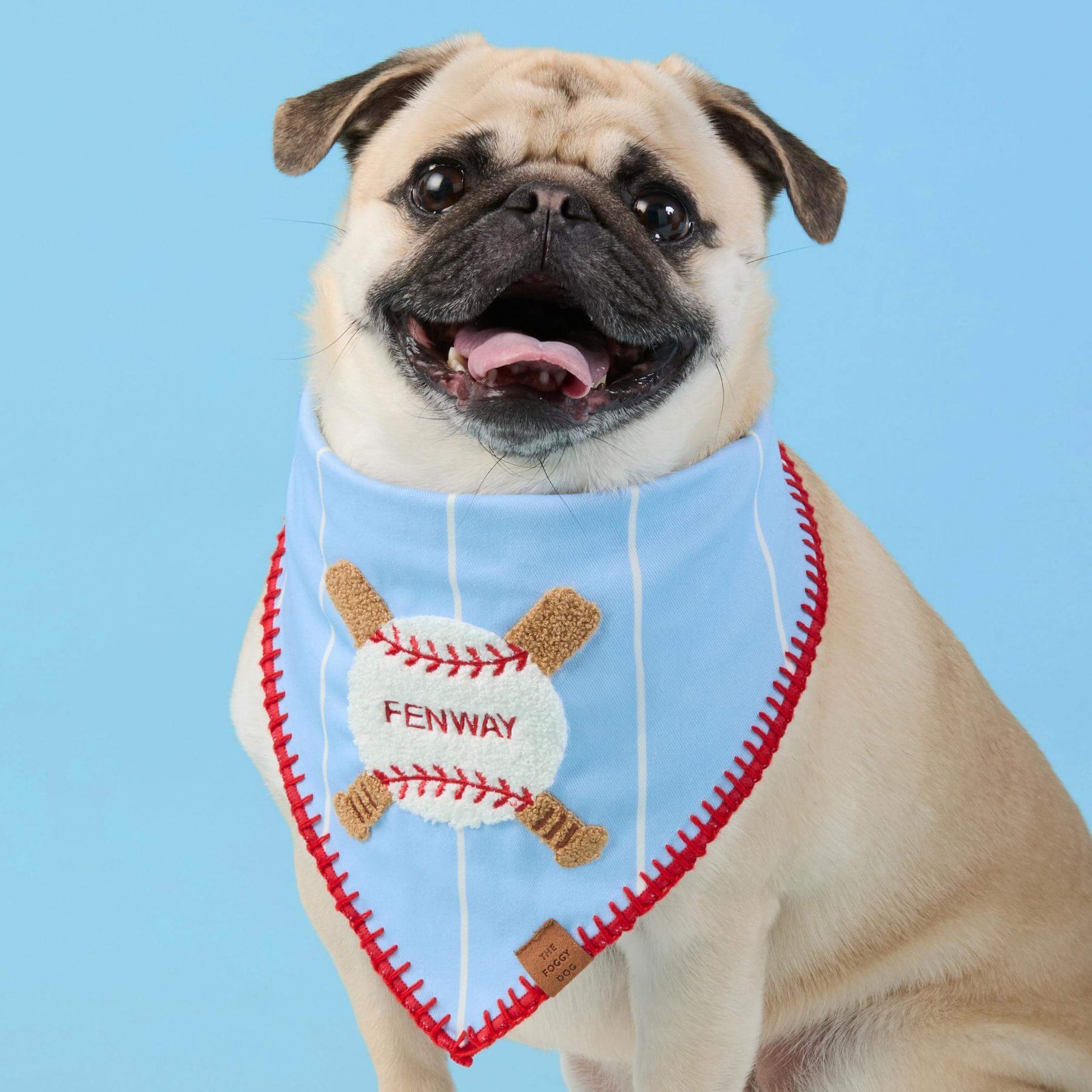 The Foggy Dog - Bandana Dog Baseball Applique