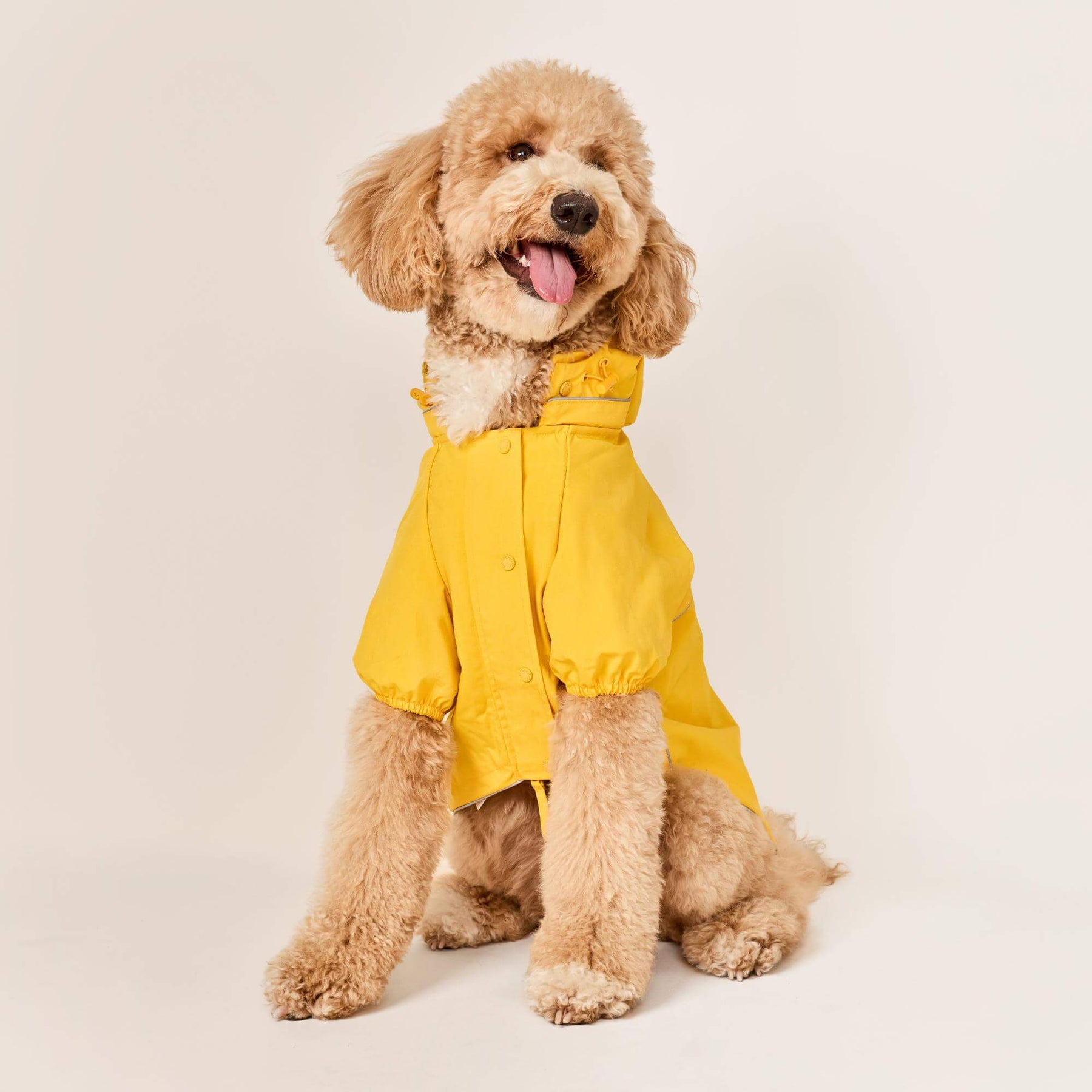 The Foggy Dog - Dog Raincoat Reflective Bright Yellow