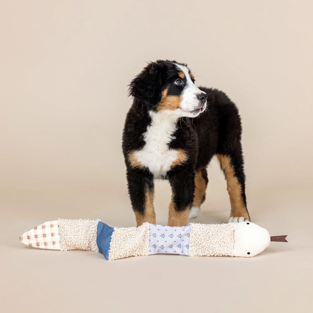 Petshop by Fringe Studio - Dog Toy Ziggy Mixed Material