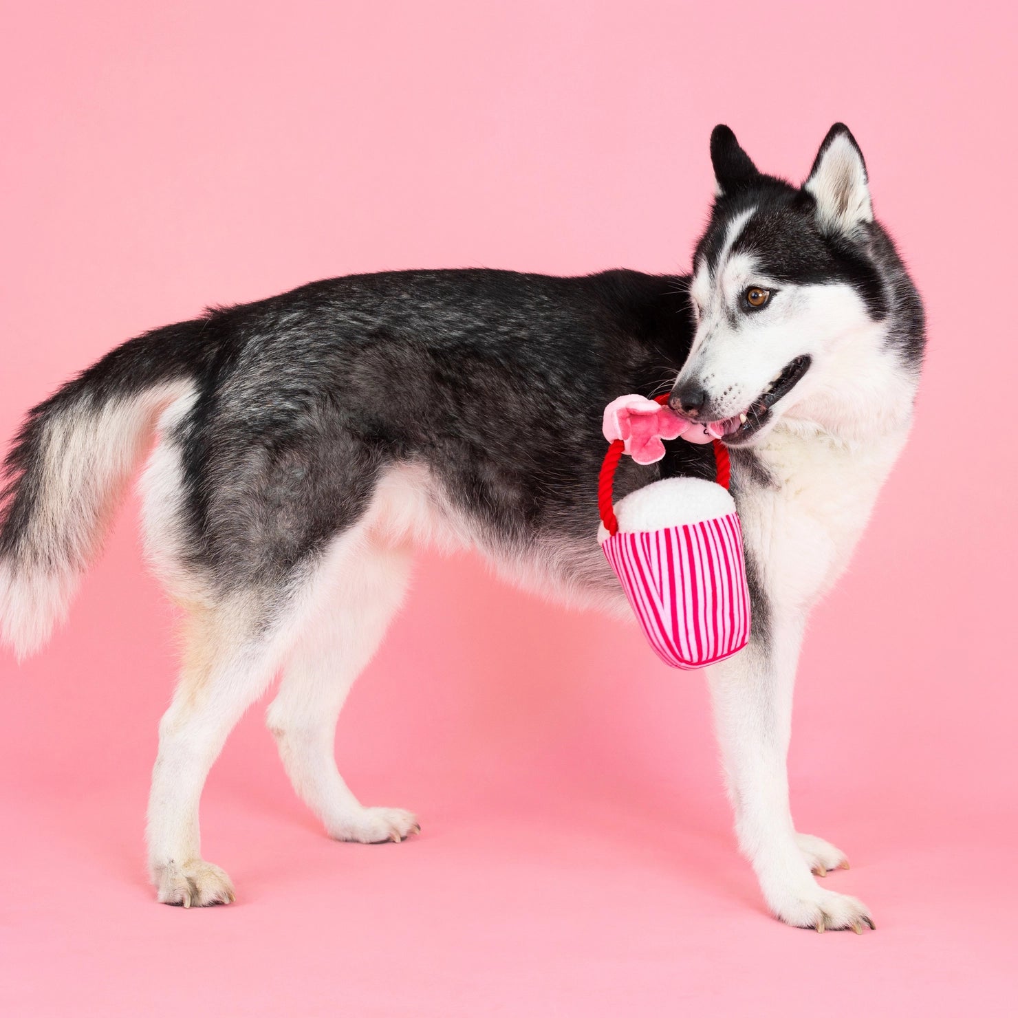 Petshop by Fringe Studio - Dog Toy My Heart Pops - Southern Agriculture 
