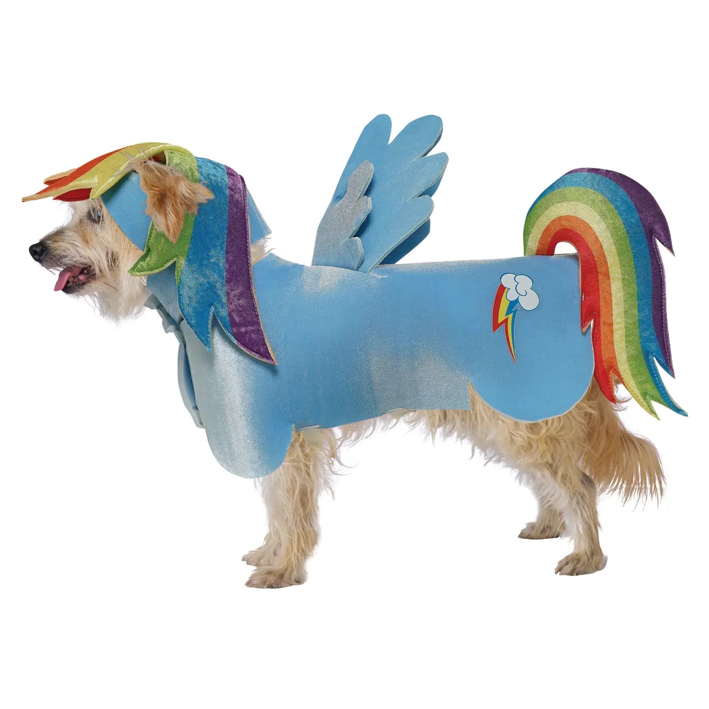 California Costumes - Halloween Costume My Little Pony Rainbow Dash