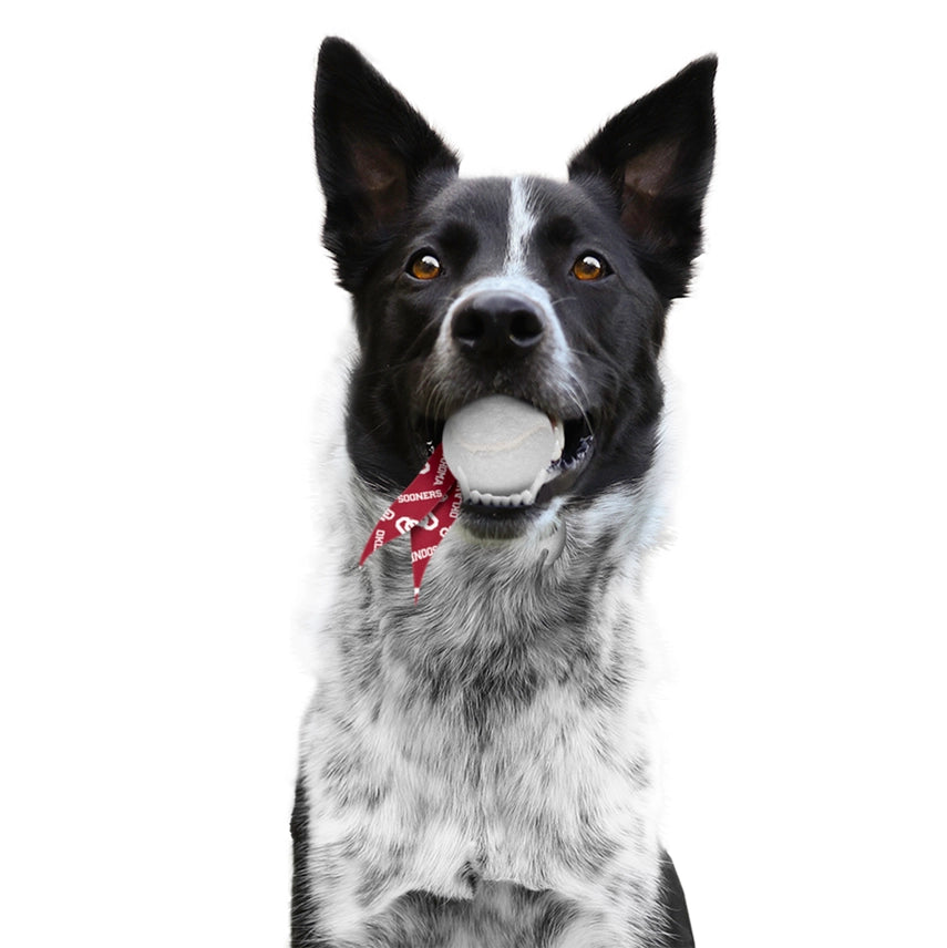 Little Earth Productions - Oklahoma Sooners Pet Ball