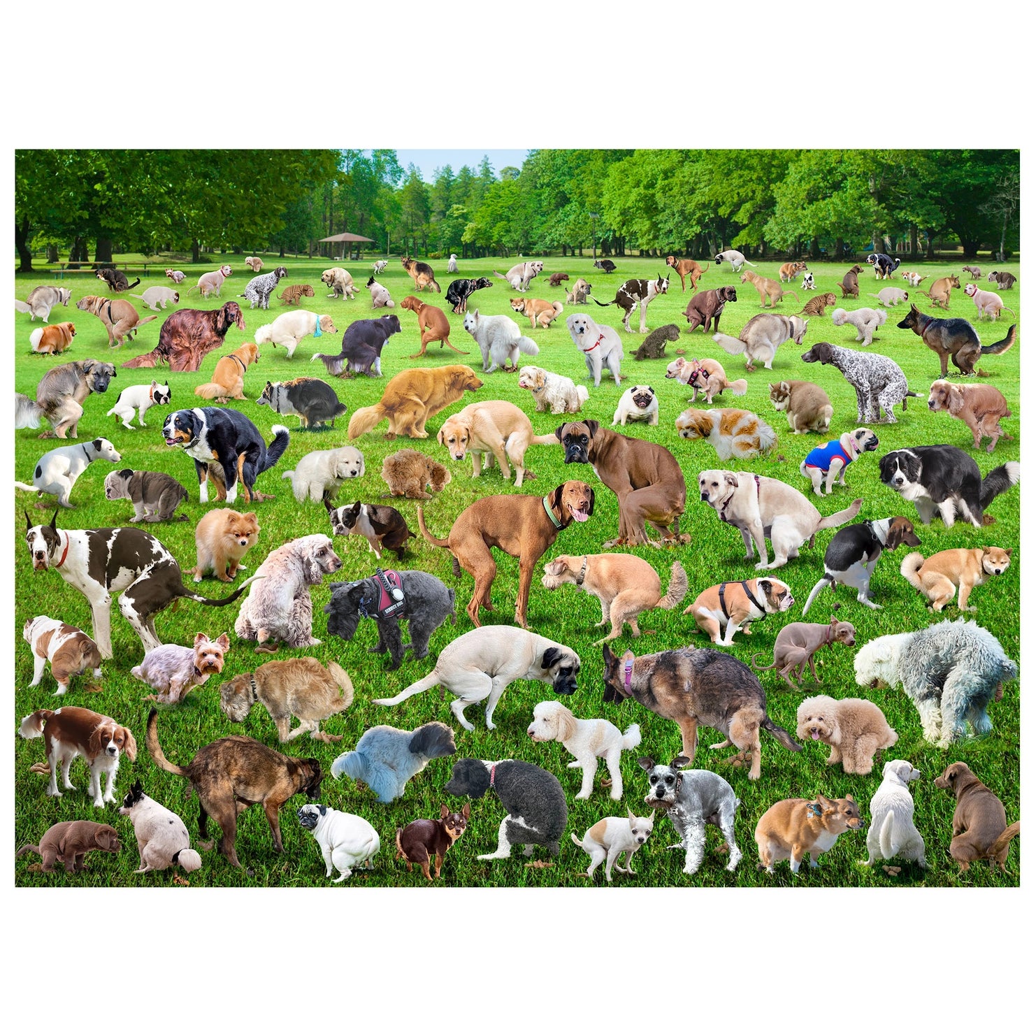 Funware - 101 Pooping Puppies 500 Piece Puzzle - Southern Agriculture 