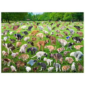 Funware - 101 Pooping Puppies 500 Piece Puzzle - Southern Agriculture 