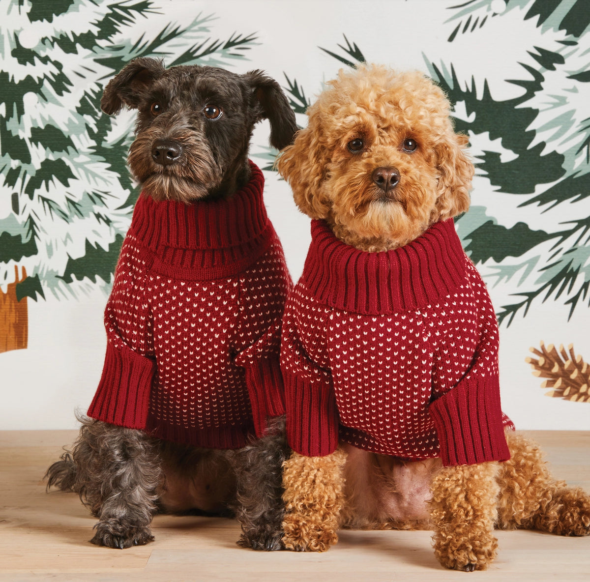 The Foggy Dog - Dog Sweater Heart Stitch