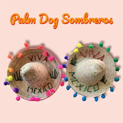 Mom and Pup Co. - Mini Palm Hat (Sombro)