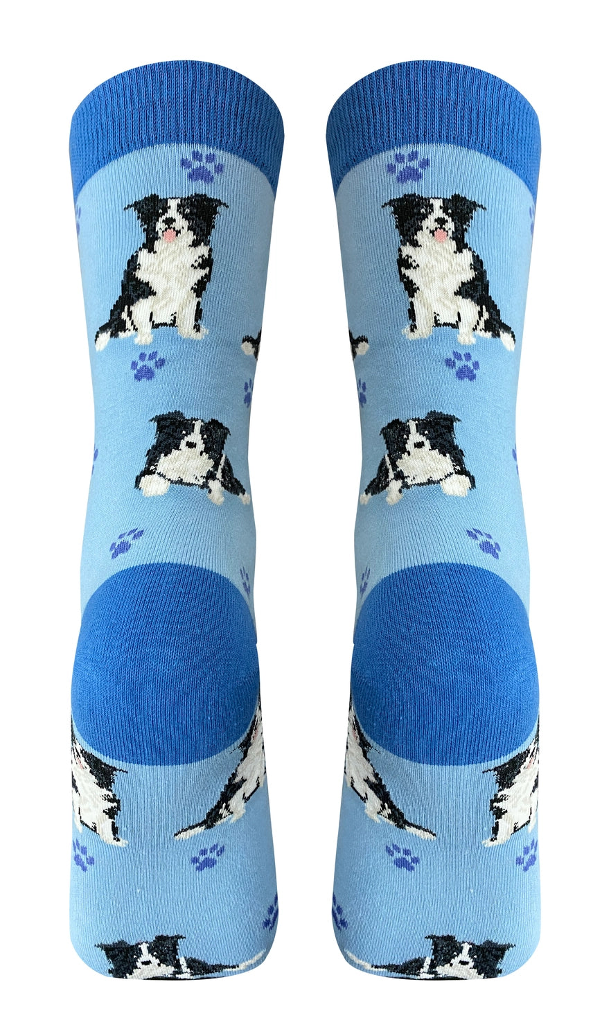 E & S Imports - Socks Border Collie Full Body