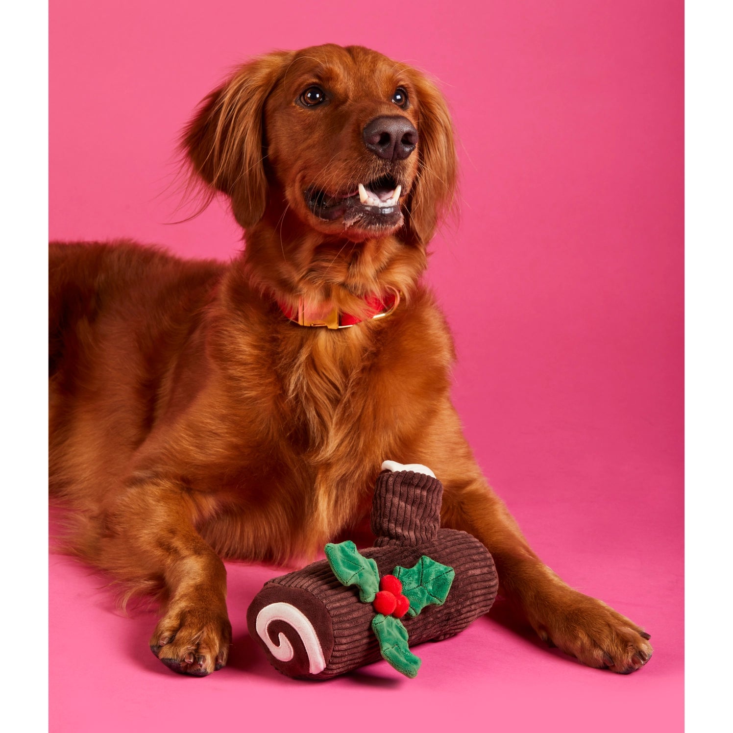 The Foggy Dog - Dog Toy Yule Log