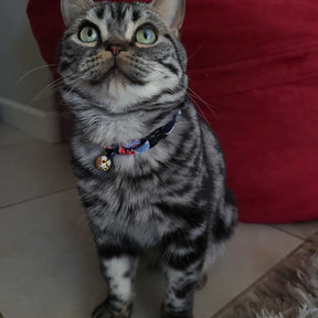 Moon-X USA - Cat Collar Chirimen Sakura