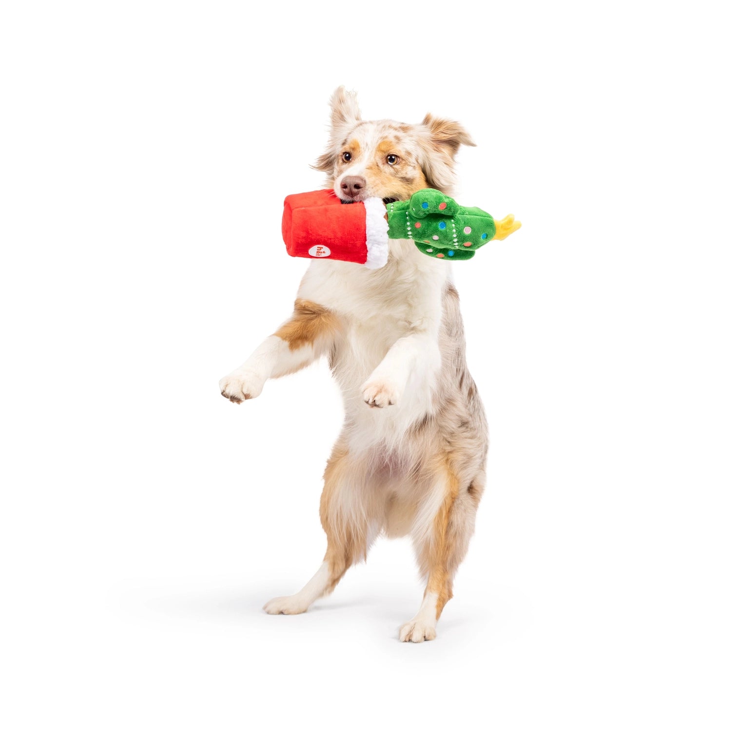 Huxley & Kent - Dog Toy Deek 'N Treat Prickly