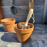 Seattle Seed Co. - Plant Pot Cleaning Brush