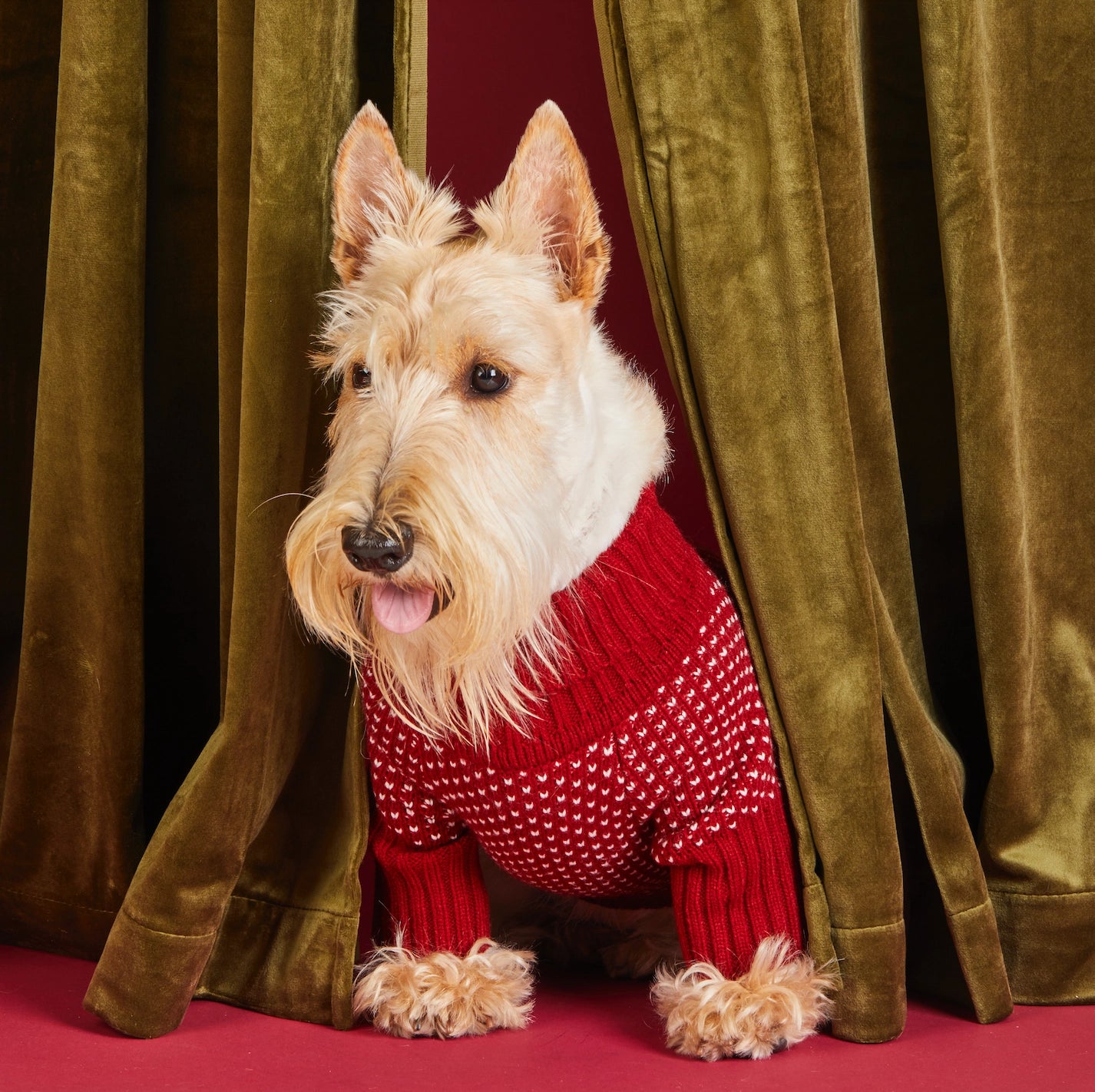 The Foggy Dog - Dog Sweater Heart Stitch