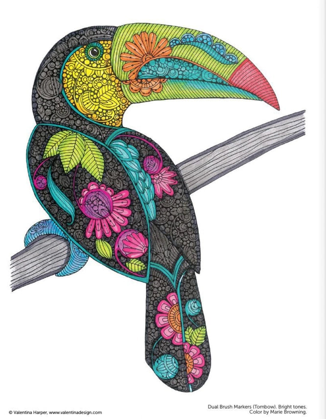 Wellspring- Coloring Book - Creative Coloring Birds