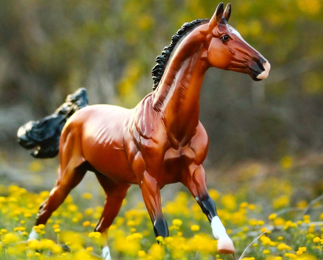 Breyer - Adamek
