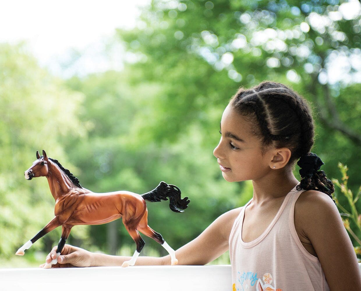 Breyer - Adamek