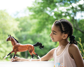 Breyer - Adamek
