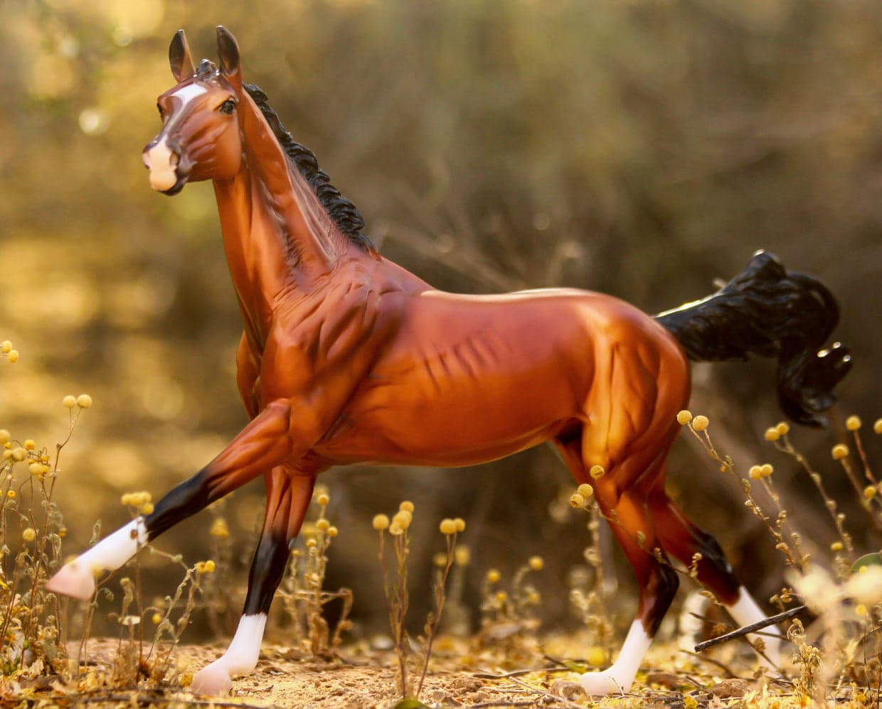 Breyer - Adamek