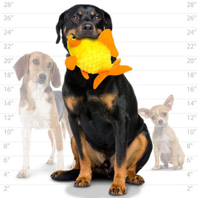 Tuffy Dog Toys - Mighty Ocean Goldfish