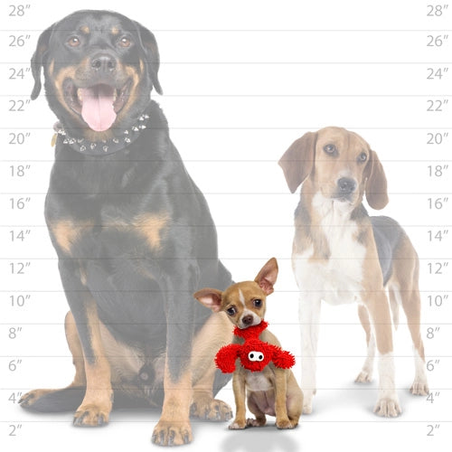 Tuffy Dog Toys - Mighty Jr Microfiber Ball Lobster